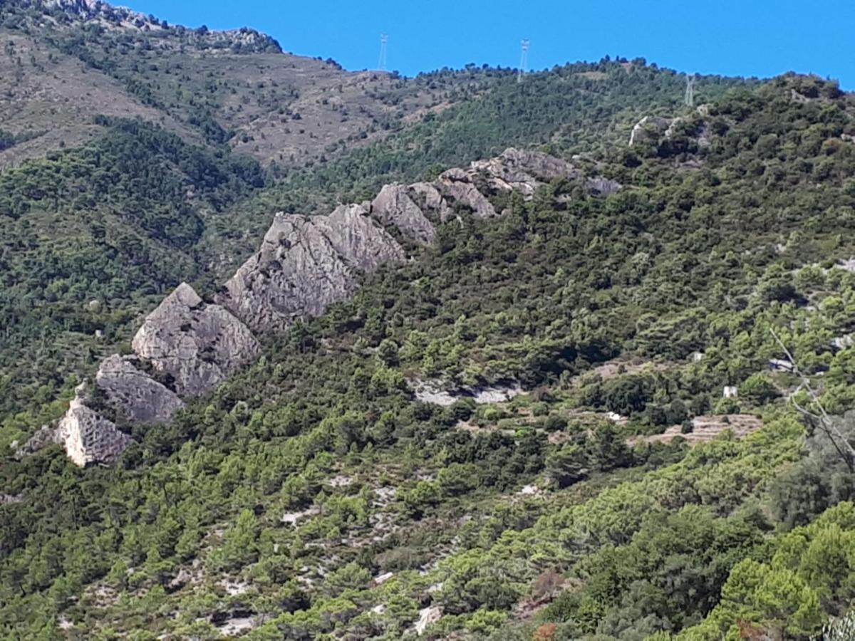 Il Casotto Del Nonno Lägenhet Ventimiglia Exteriör bild